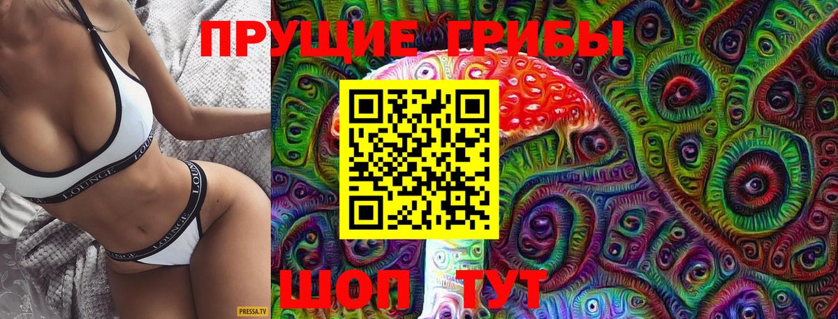 Псилоцибиновые грибы Psilocybine cubensis  Вход с VPN  Ржев 
